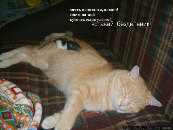 Вставай лентяй