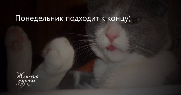 Конец понедельника