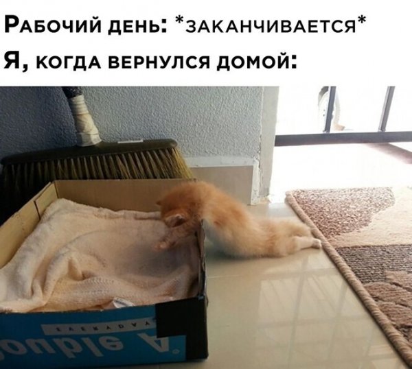Демотиваторы про усталость