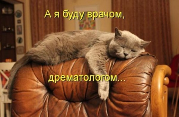 Утро понедельника