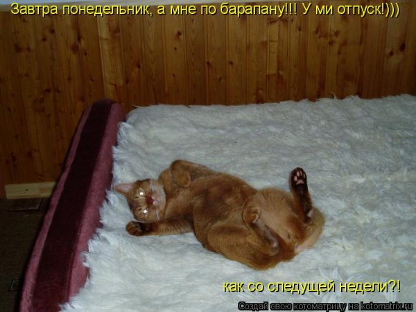 С понедельника я в отпуске