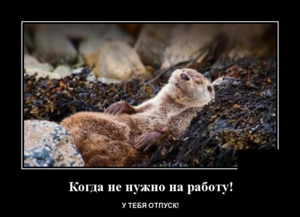 Завтра отпуск демотиваторы