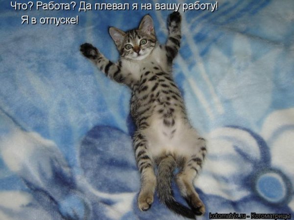 Завтра отпуск