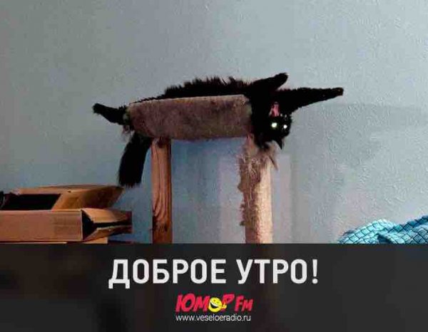 Доброе утро хоть и понедельник