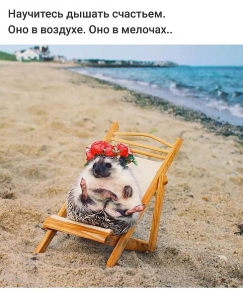 В ожидании отпуска
