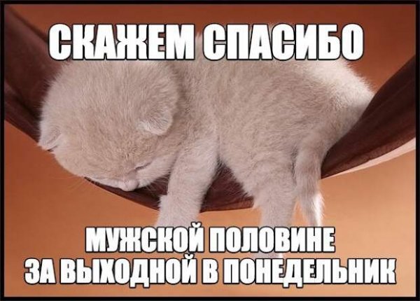 Понедельник выходной