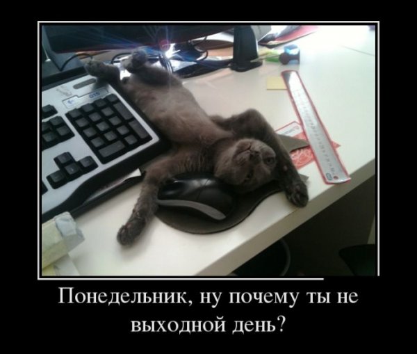 Понедельник выходной
