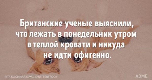 Любимый понедельник