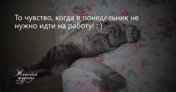 Статусы про понедельник