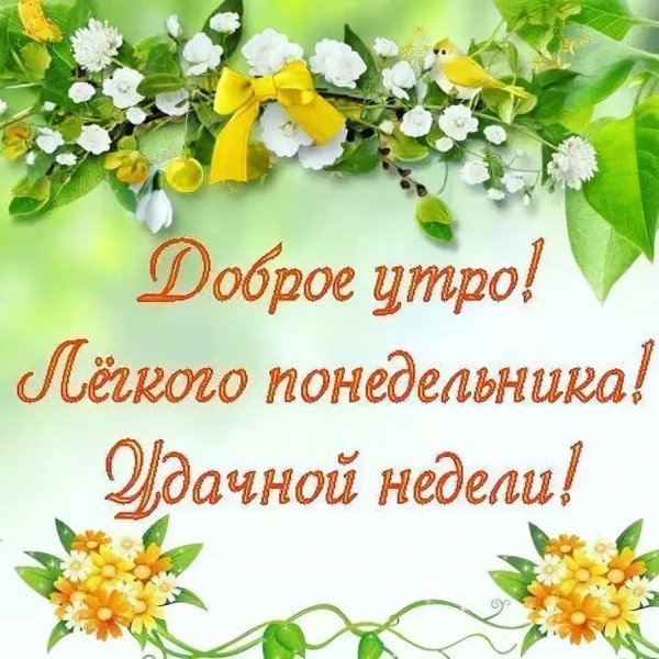 Пожелания с добрым утром понедельника