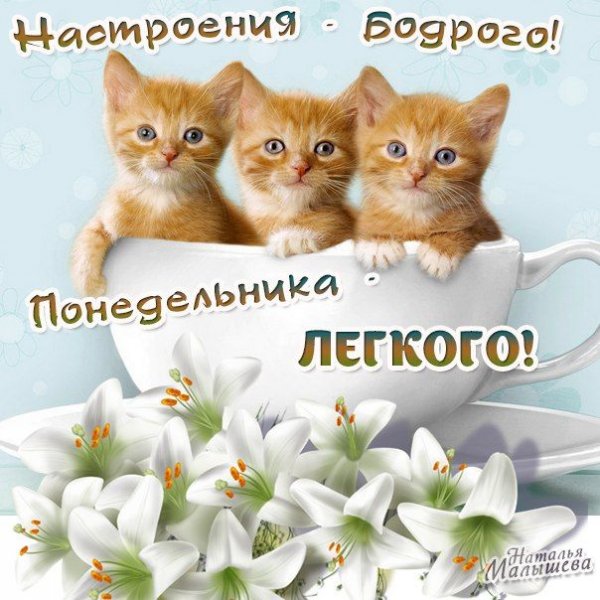 Лёгкого понедельника и хорошего настроения