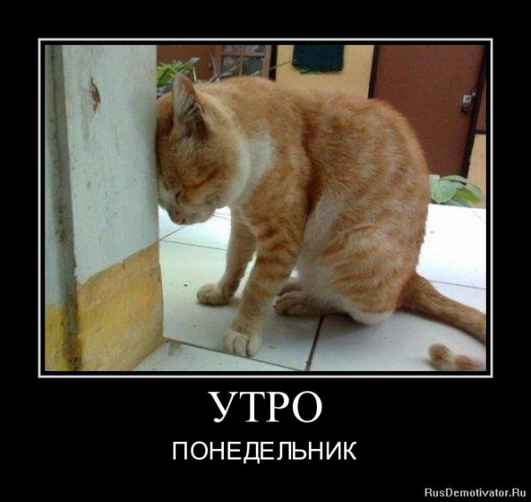 Утро понедельника