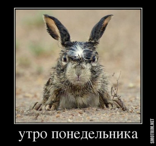 Понедельник демотиваторы