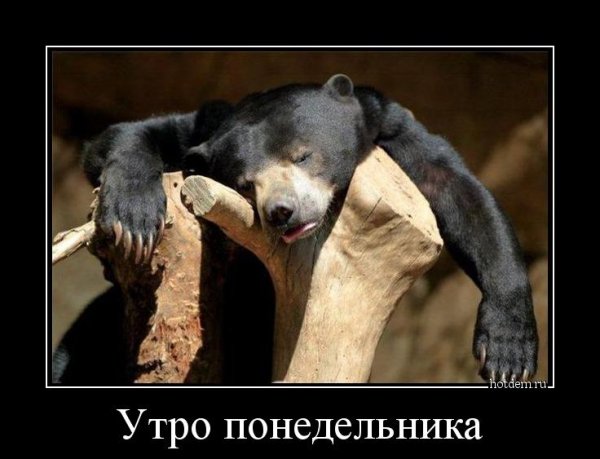 Понедельник демотиваторы