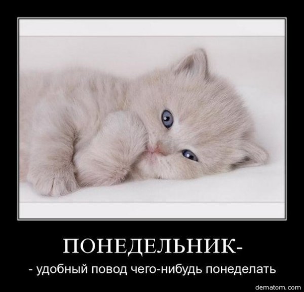 Понедельник хороший повод чего-нибудь понеделать