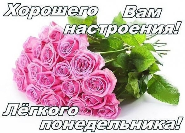Хорошего понедельника и отличного настроения