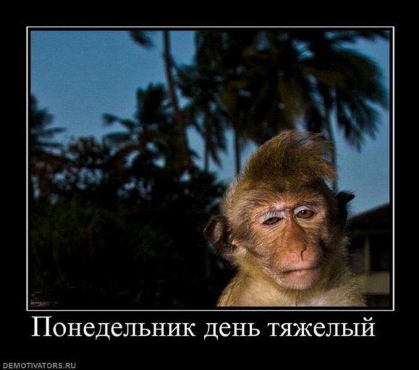 Понедельник день тяжелый