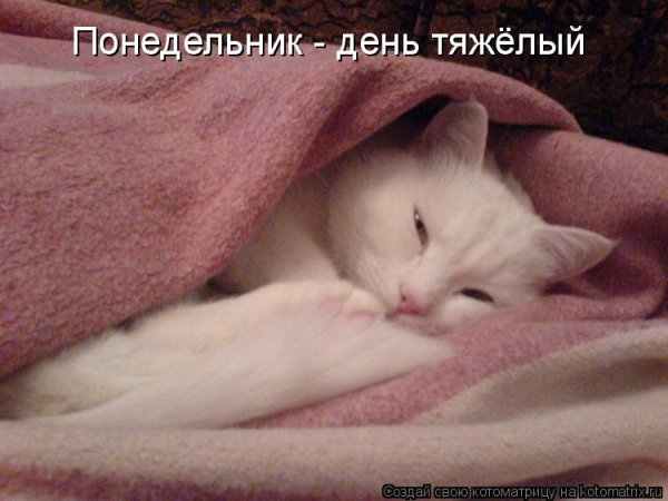 Понедельник день тяжелый