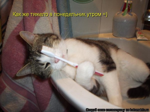 Понеедельник день тяжёлый