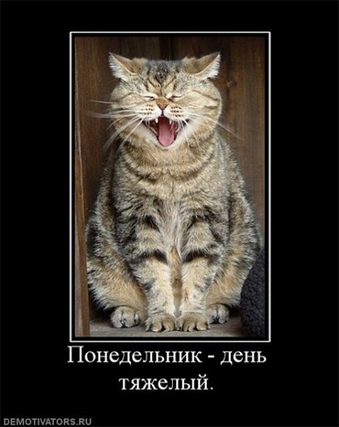 Демотиваторы утро понедельника