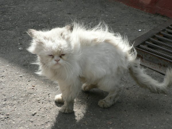 Понедельник рабочий день