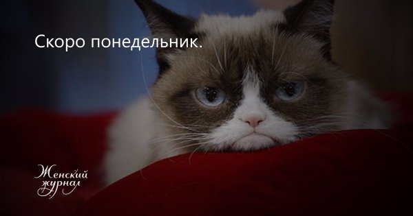 Скоро понедельник картинки