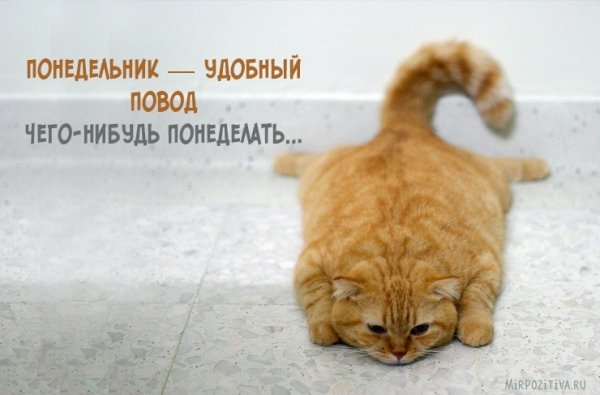Позитивчик для поднятия настроения