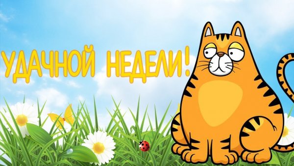 Хорошей недели