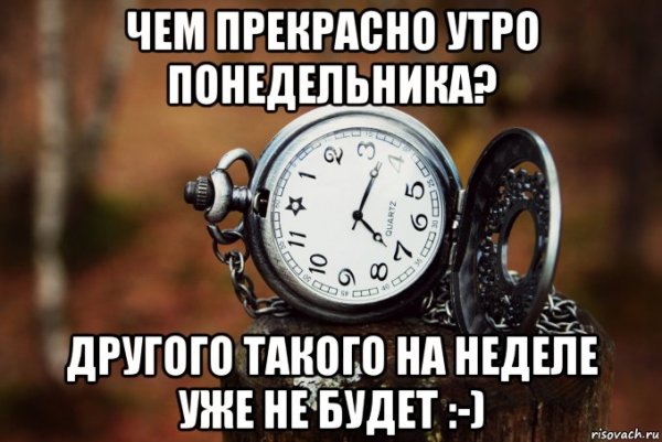 Утро понедельника