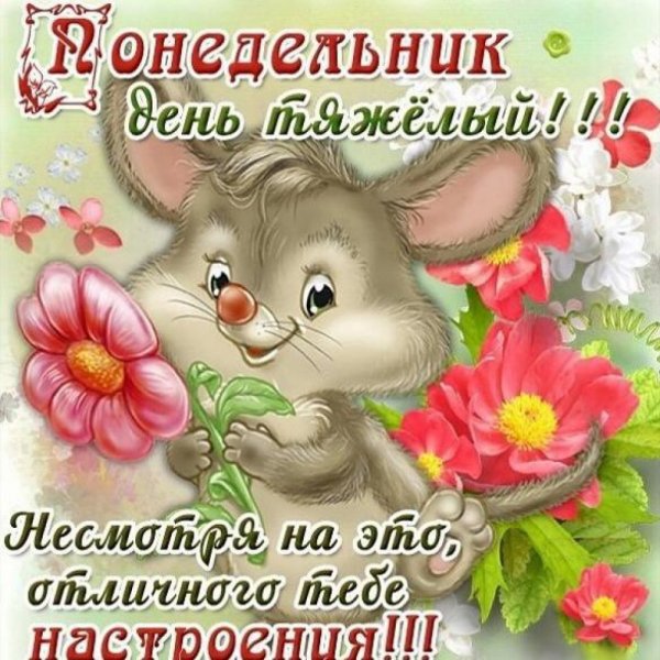 Доброго понедельника