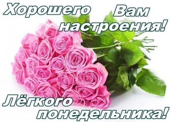 Лёгкого понедельника и хорошего настроения