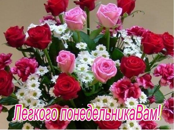 Цветы понедельник.