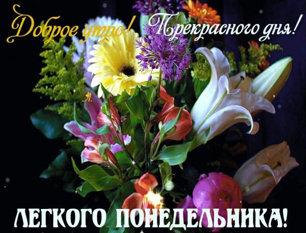 Красивое поздравление с понедельником
