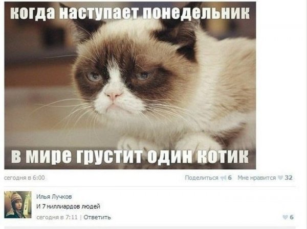 Кот понедельник Мем