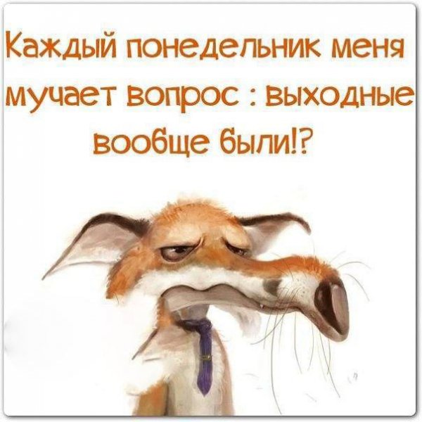 Цитаты про понедельник прикольные