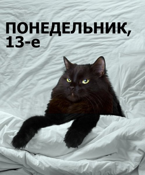 Понедельник 13 картинки