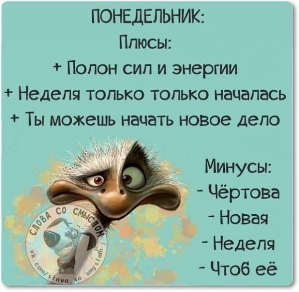 Афоризмы про понедельник