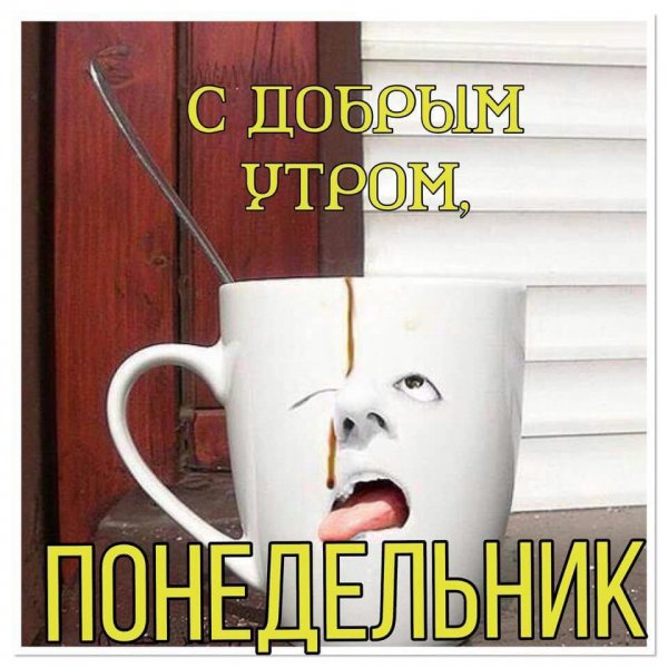 Доброе утро понедельника прикольные