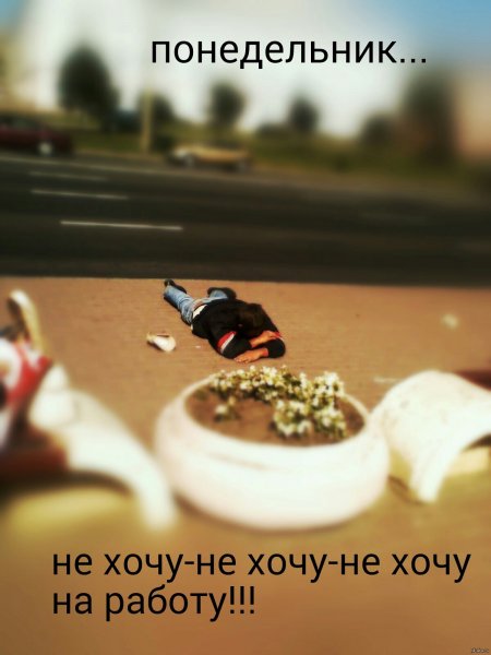 Хочу на работу в понедельник