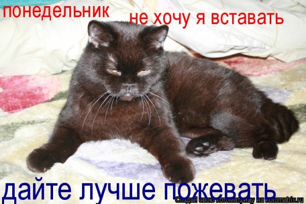 Хочу понедельник