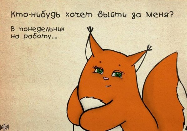Крошка ши понедельник