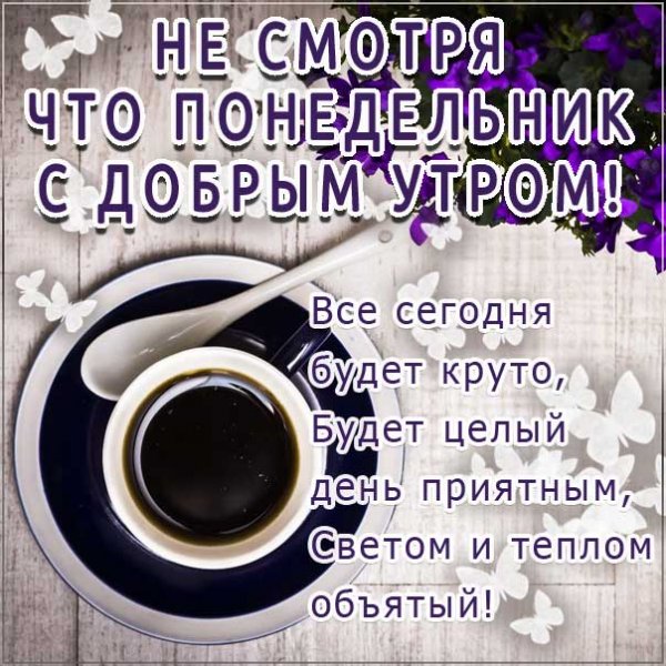 Дрброе УИРО понедельник