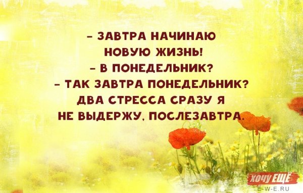 Начало новой жизни цитаты