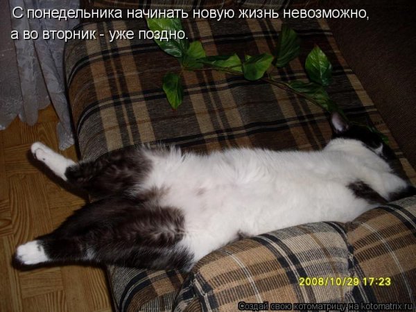 Завтра уже вторник