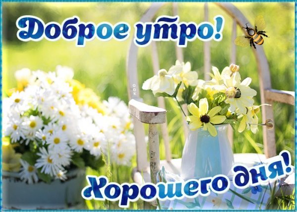 Доброе летнее утро понедельника