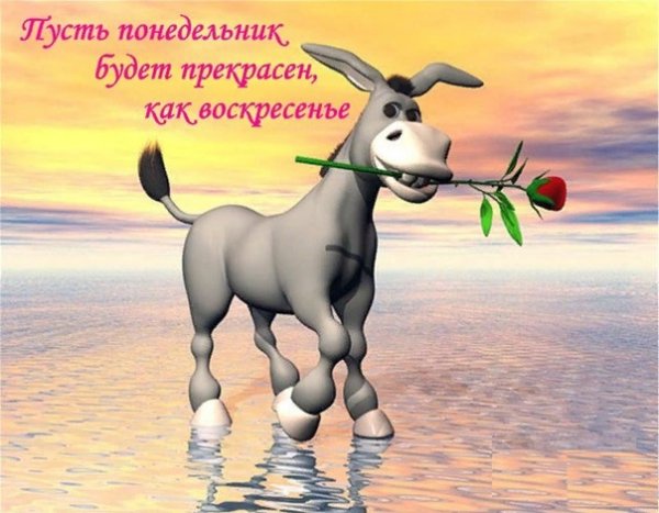Смешные открытки с началом рабочей недели
