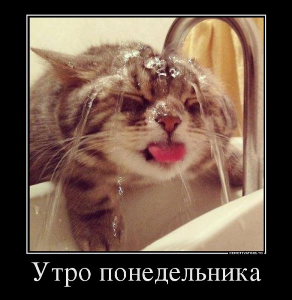 Понедельник день тяжелый