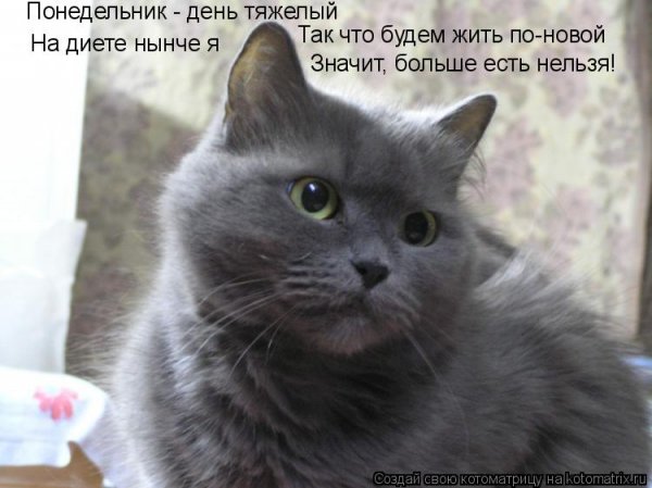 Понедельник день тяжелый