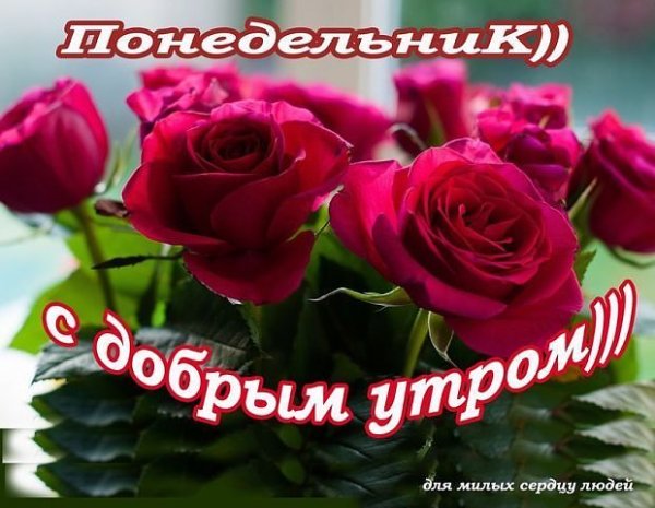 Открытки с добрым утром понедельника