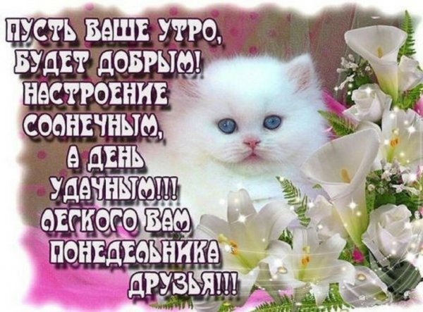 Пожелания с добрым утром понедельника